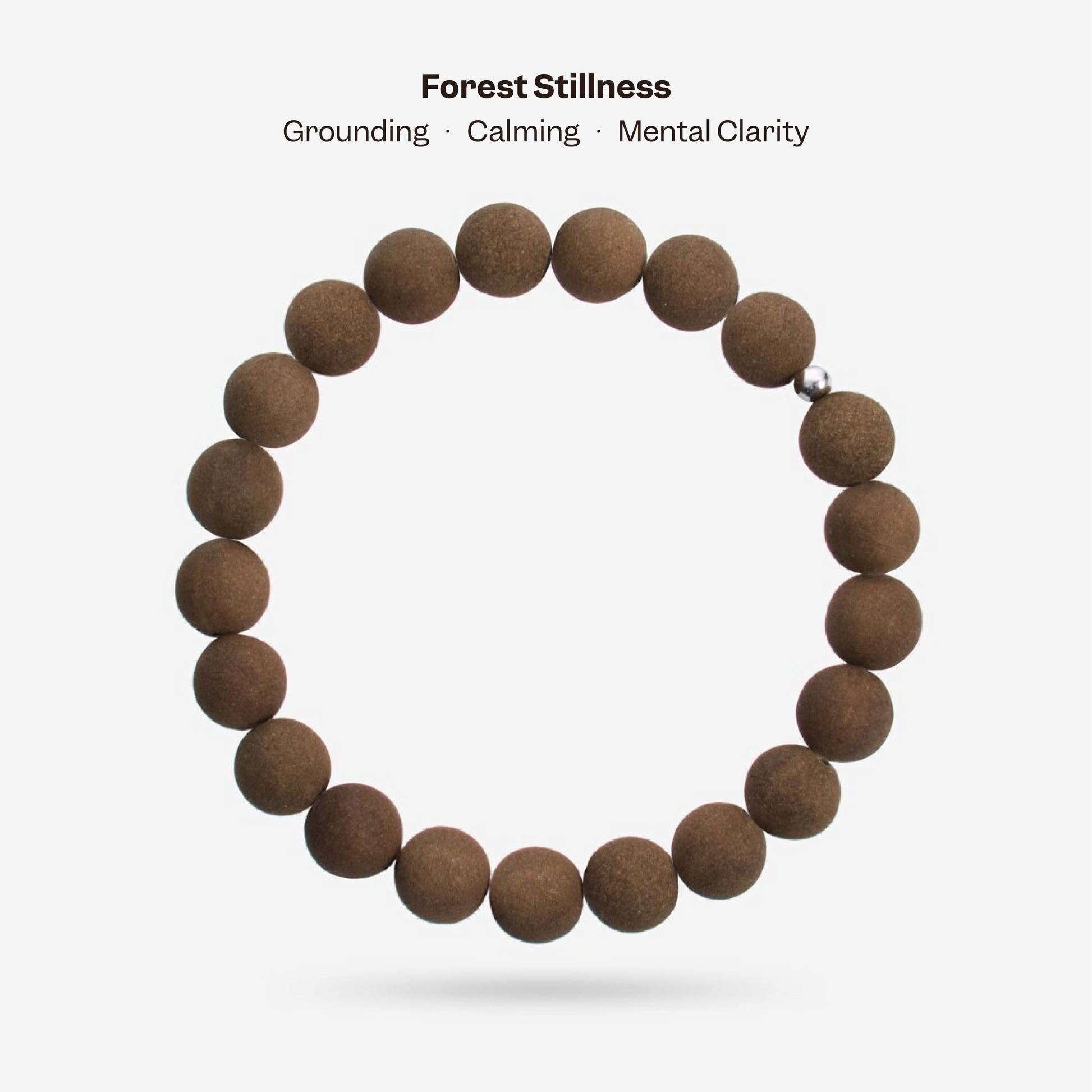 Forest Stillness