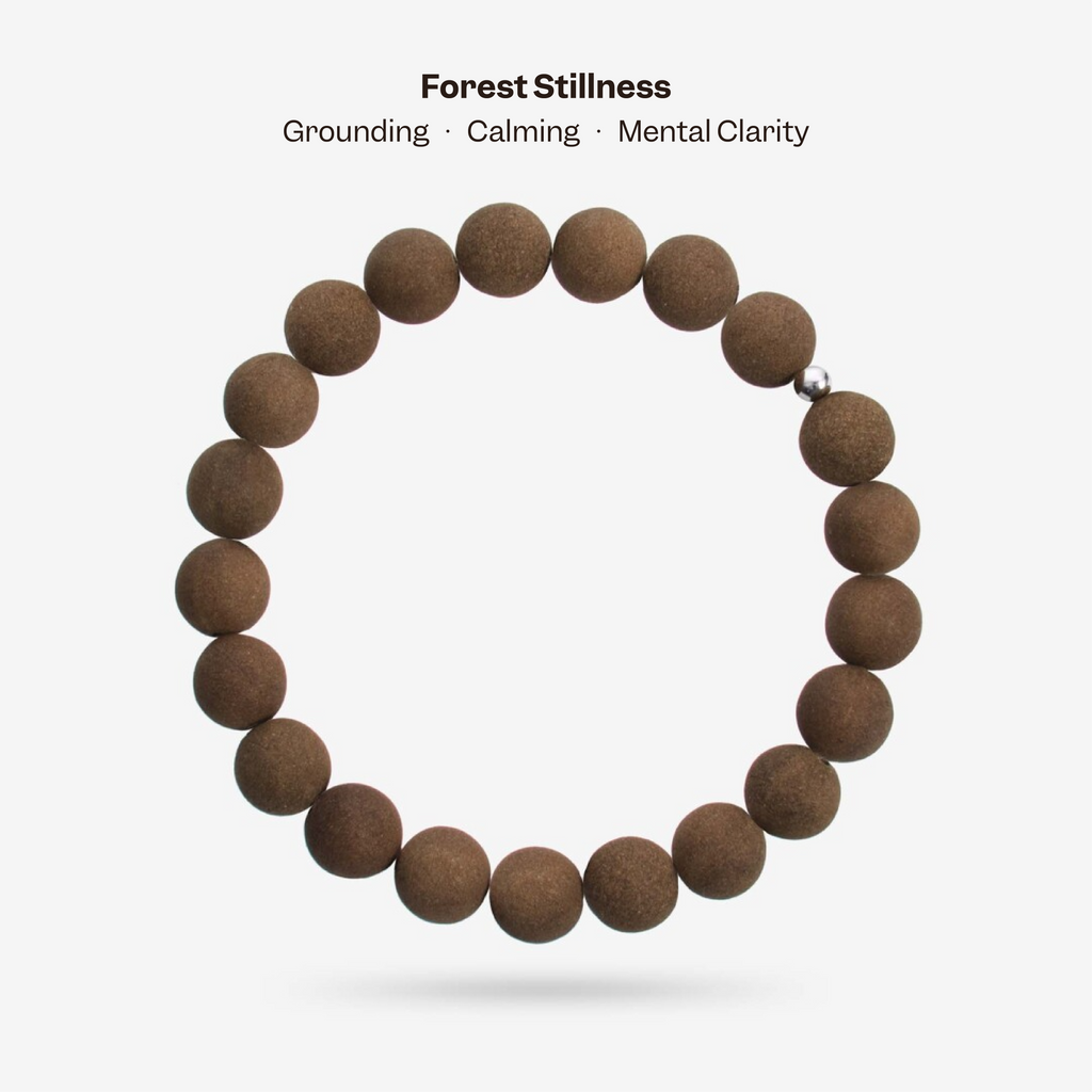 Forest Stillness